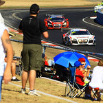 Flickr photo Bathurst12hr014-5938
