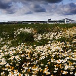 Flickr photo 731cdfb7-769d-4940-9d87-3b95674468c7