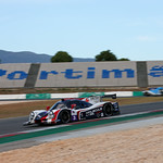 Flickr photo United-Autosports-ELMS-Portimao-084