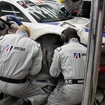 Flickr photo IMG_3137