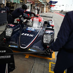 Flickr photo 22_F1_0009