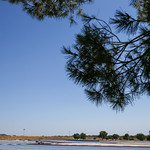 Flickr photo UA-ELMS-2020-Paul-Ricard-057