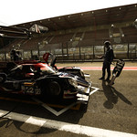 Flickr photo 22-0014b