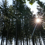 Flickr photo UA-ELMS-Spa-161