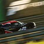 #25 Ligier JS P320 - Nissan / UNITED AUTOSPORTS / Shaun Lynn / Joe Macari 