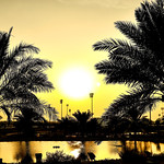 Flickr photo Bahrain-0005