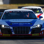 Flickr photo _LP_9451