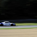 Flickr photo _D3B7628