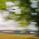 Flickr photo DSC_8461