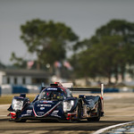 Flickr photo DSC_8316