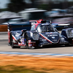 Flickr photo JPrice_IMSA_wup_Sebring2021-7327