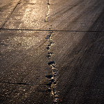 Flickr photo JPrice_IMSA_Wed_Sebring2021-7190