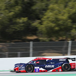 Flickr photo UA-ELMS-Barcelona-2021-443