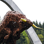 Flickr photo United-Autosports-RBR-2021-221