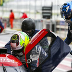 Flickr photo United-Autosports-RBR-2021-352