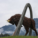 Flickr photo United-Autosports-RBR-2021-227