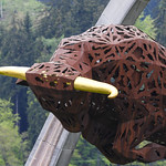 Flickr photo United-Autosports-RBR-2021-224