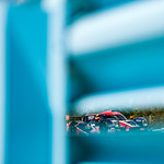 Flickr photo EMV_0273