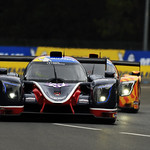 Flickr photo UA-RTLM-2021-097