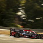 Flickr photo 22-0000021