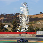 Flickr photo UA-MLMC-2021-Portimao-112