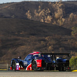 Flickr photo UA-ELMS-2021-Portimao-288