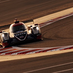 Flickr photo 22_Thurs-3342