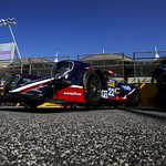 Flickr photo 22-0000029