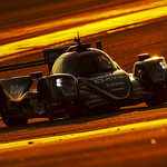 Flickr photo 22-0000006