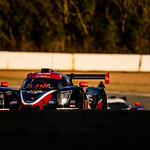 Flickr photo cobb_Petit2021-131121-6010