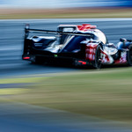 Flickr photo cobb_Petit2021-141121-6440