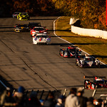 Flickr photo cobb_Petit2021-131121-6298