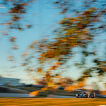 Flickr photo DSC_4224