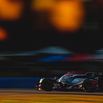 Flickr photo DSC_4200