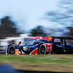 Flickr photo cobb_Petit2021-131121-5237