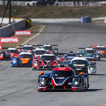 Flickr photo cobb_Petit2021-131121-4826