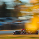 Flickr photo DSC_4174