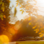 Flickr photo DSC_4038