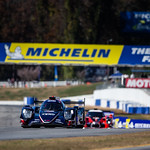 Flickr photo cobb_Petit2021-131121-4934