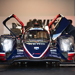 Flickr photo JPrice_ROAR_thurs_2022-4203