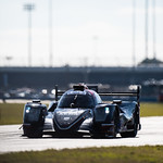 Flickr photo JPrice_ROAR_sun_2022-7329