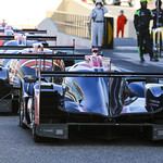 Flickr photo UA-AsLMS-Yas-Marina-062