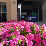 Flickr photo UA-AsLMS-Yas-Marina-179