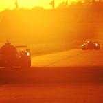 Flickr photo 22-PM7_1421