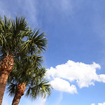 Flickr photo UA-7B1A4651