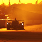 Flickr photo 23-PM7_1465