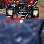 Flickr photo 23-0Q3A4293