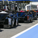 Flickr photo UA-MLMC-2022-Paul-Ricard-237