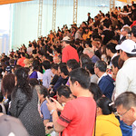 Flickr photo IMG_6967