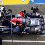 Flickr photo 23-4MDH2486